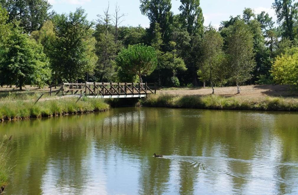 Gailleres Gite L'Atelier Bois מראה חיצוני תמונה